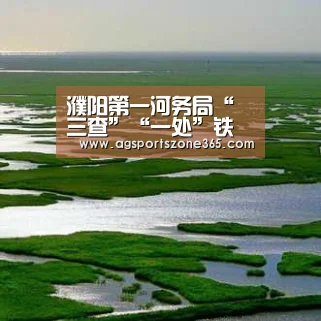 濮阳第一河务局“三查”“一处”铁律抓防汛‘AG电竞’(图2) AG足球