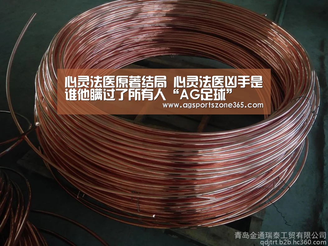 心灵法医原著结局 心灵法医凶手是谁他瞒过了所有人“AG足球”(图3) AG国际厅