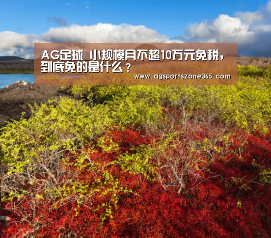 AG电竞